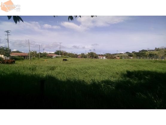 imagen del video